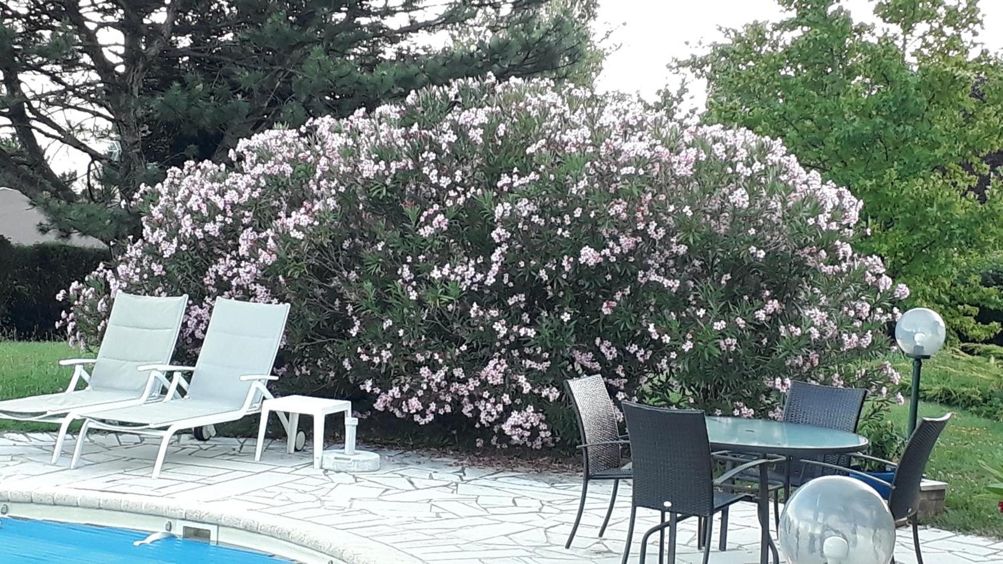 Villa Avec Vue Biviers Zewnętrze zdjęcie